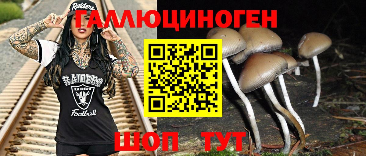 Псилоцибиновые грибы прущие грибы  Вход с VPN  Малгобек 